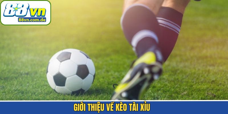 Thông tin cược Over/Under trong bóng đá