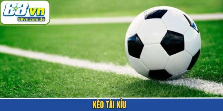 Kèo Tài Xỉu Trong Bóng Đá Và Cách Dự Đoán Hiệu Quả