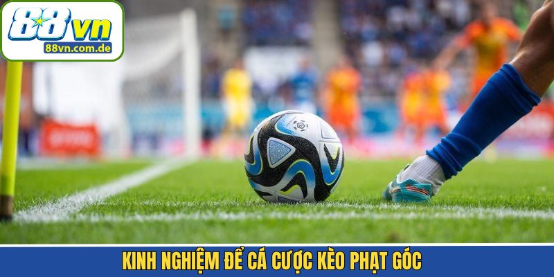 Các chiến lược nên áp dụng khi dự đoán kèo cược